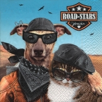 Salvrätik 33x33cm Road-Stars, 1 tk   Saatmine pakiautomaadi kaudu.