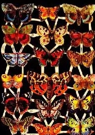 Paberist kaunistus Liblikad 13,5x24,5cm, 1 tk Saatmine pakiautomaadi kaudu.