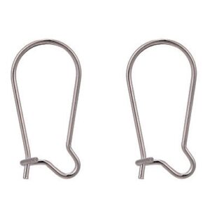 925 Sterling Silver hõbedased kõrvarõngahaagid 20x9,5mm, pakis 1 paar