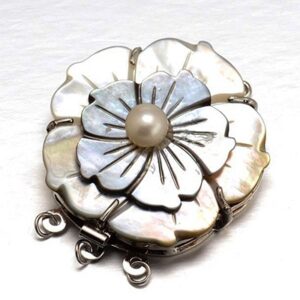 Shell karpkinnis 40x34x12mm, hall, 1 tk