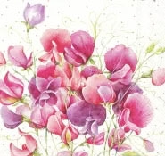 Salvrätik 33x33cm Lillherned, 1 tk
