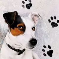 Decoupage napkin Koira 25x25cm, 1 piece per package