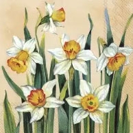 Salvrätik 33x33cm Nartsissid, 1 tk