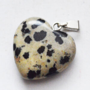 Dalmatian jaspis riipus 20-22mm luonnollinen, messinki riipuspidike, 1 kpl