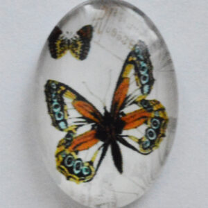 Lasikapussi Perhonen  25x18mm, 2 kpl