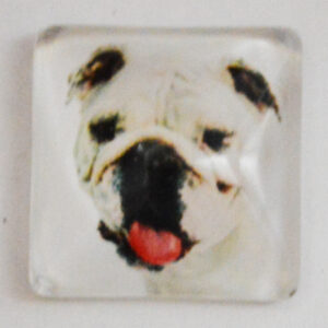 Klaaskamee Koer 15x15mm, 1 tk
