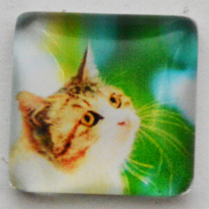 Klaaskamee Kass 15x15mm, 1 tk