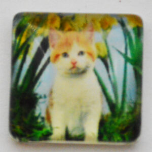 Klaaskamee Kass 15x15mm, 1 tk