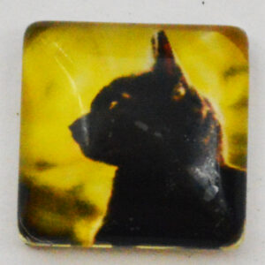 Klaaskamee Kass 15x15mm, 1 tk