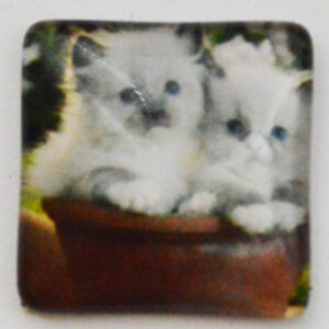 Klaaskamee Kass 15x15mm, 1 tk