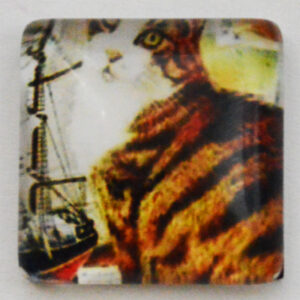Klaaskamee Kass 15x15mm, 1 tk