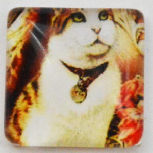 Klaaskamee Kass 15x15mm, 1 tk