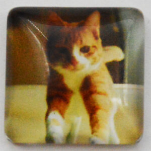 Klaaskamee Kass 15x15mm, 1 tk
