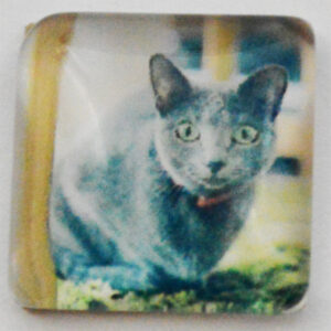 Klaaskamee Kass 15x15mm, 1 tk