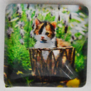 Klaaskamee Kass 15x15mm, 1 tk