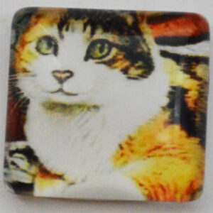 Klaaskamee Kass 15x15mm, 1 tk