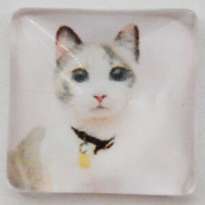 Klaaskamee Kass 15x15mm, 1 tk