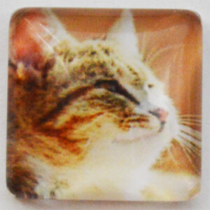 Klaaskamee Kass 15x15mm, 1 tk