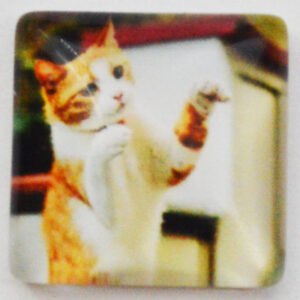 Klaaskamee Kass 15x15mm, 1 tk