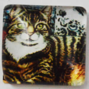 Klaaskamee Kass 15x15mm, 1 tk