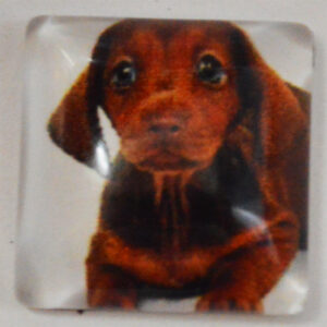 Klaaskamee Koer 15x15mm, 1 tk