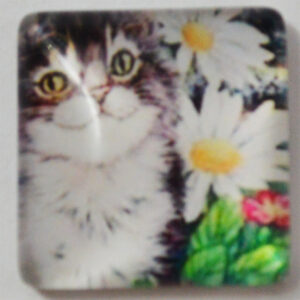 Klaaskamee Kass 15x15mm, 1 tk
