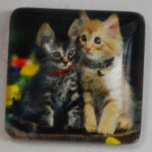Klaaskamee Kass 15x15mm, 1 tk