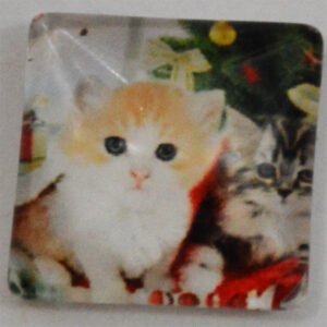 Klaaskamee Kass 15x15mm, 1 tk