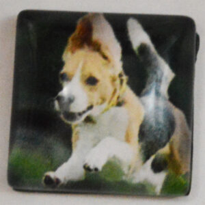 Klaaskamee Koer 15x15mm, 1 tk