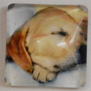 Klaaskamee Koer 15x15mm, 1 tk