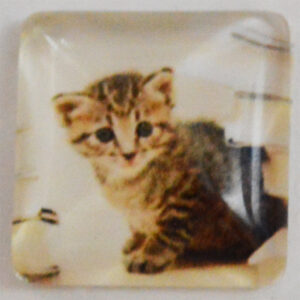 Klaaskamee Kass 15x15mm, 1 tk