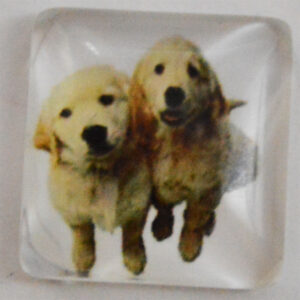 Klaaskamee Koer 15x15mm, 1 tk