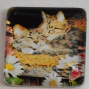 Klaaskamee Kass 15x15mm, 1 tk