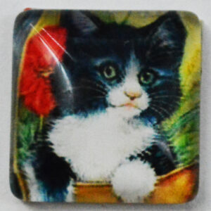 Klaaskamee Kass 15x15mm, 1 tk