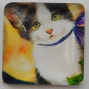 Klaaskamee Kass 15x15mm, 1 tk