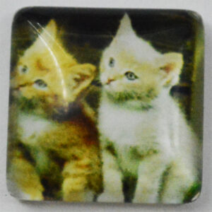 Klaaskamee Kass 15x15mm, 1 tk
