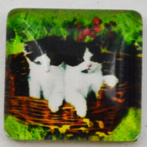 Klaaskamee Kass 15x15mm, 1 tk