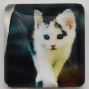 Klaaskamee Kass 15x15mm, 1 tk