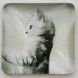 Klaaskamee Kass 15x15mm, 1 tk