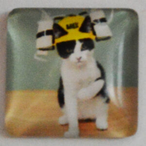 Klaaskamee Kass 15x15mm, 1 tk