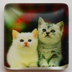 Lasikapussi Kissa 15x15mm, 1 kpl