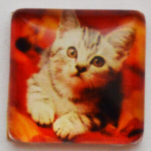 Lasikapussi Kissa 15x15mm, 1 kpl