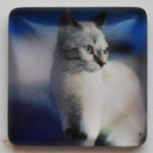 Lasikapussi Kissa 15x15mm, 1 kpl