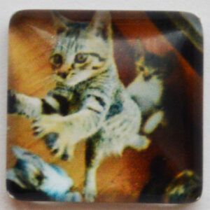 Lasikapussi Kissa 15x15mm, 1 kpl
