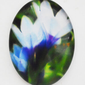 Klaaskamee Lill 40x30mm, 1 tk