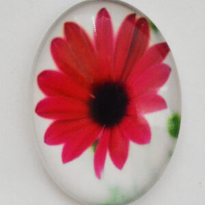 Lasikapussi 40x30mm, 1 kpl