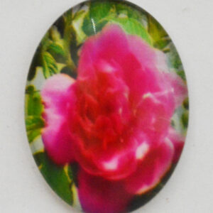 Klaaskamee Lill 40x30mm, 1 tk