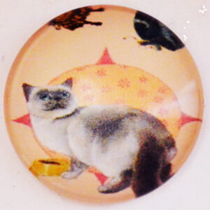 Klaaskamee Kass 18mm, 1tk