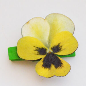 Pesupulk Võõrasemaga 3,7x3,5cm, 1 tk