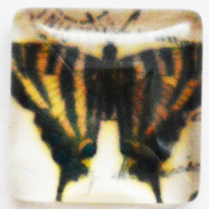 Klaaskamee Liblikas 15x15mm, 1 tk